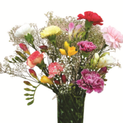 bouquet of fresh carnations and freesias
